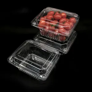 Eco-friendly Plastic Clear Strawberry Packing Box Clamshell Fruit And Vegetable Packaging Blister Box