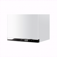 Chauffe-eau mural intelligent à gaz naturel Haier, nouveau design, en acier inoxydable, avec petit réservoir, pour camping-car et extérieur
