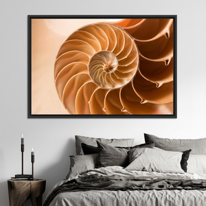 Golden Ratio Nautilus Shell <b>Canvas</b> Print: Elegant Nature Art,BLACK <b>FRAMED</b> <b>CANVAS</b> - Product Image 3