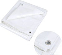 Bâche en PE personnalisée, film de paillage agricole imperméable, découpe sur mesure, crochet papillon pour machines agricoles