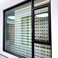 Ventana Abatible Personalizada, Estándar, Doble Acristalamiento, Exterior, Tipo Louver, para Cocina de Villa de Lujo, Certificación CE, Impermeable, Energy Star