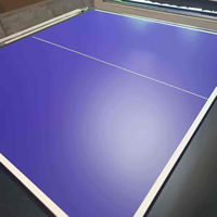 Table de tennis de table moderne et écologique à rebond fluide et équilibré, idéale pour les écoles, les installations sportives, les chambres et les cuisines – Vente directe usine