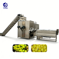 Hoge kwaliteit best verkochte PLC stoomschiller 15000W vermogen 1000 productiecapaciteit voor het schillen van aardappelen, tomaten en ander fruit