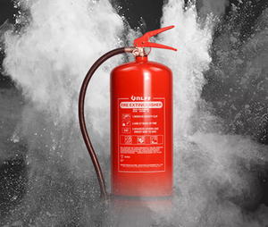 Fabbrica estintore omologato 1kg 1.5kg 2.5kg 4.5kg 9kg attrezzatura estintore polvere - Product Image 5