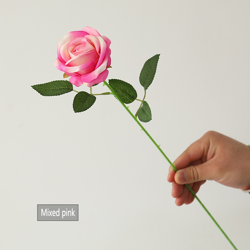 Rosa mixto