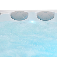 À Vendre Pas Cher 4 Personnes Balboa Hottub De Luxe Acrylique Sexy Hydro Massage Baignoire à remous