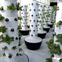 Systèmes de culture hydroponique verticaux Growing Towers, système de culture hydroponique vertical Pineapple Tower