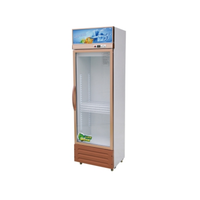 Congélateur Vertical d'Exposition Commercial avec Porte Vitrée à Température Unique, Réfrigérateur à Boissons 1 Porte pour Supermarché