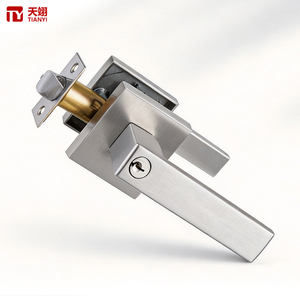 Poignée de porte Tianyi en acier inoxydable brossé avec levier et serrure, rosette carrée, entrée à clé, quincaillerie moderne pour chambre à coucher - Product Image 1