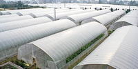 Serre tunnel agricole commerciale à structure simple en acier galvanisé à chaud, film PE 120 microns, stable et en promotion