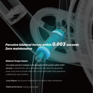 Bicicleta Eléctrica de Alta Gama YIMI 2026, 250W, Cuadro de Fibra de Carbono, 700x38c, 8 Velocidades, Certificación Europea CE, para Desplazamientos Urbanos, Cuadro de Fibra de Carbono Ligero YIMI - Product Image 3