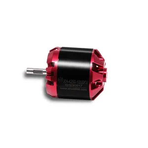 Low Noise XH4250 BLDC Non Inductive 20v Electric Brushless Dc Motor For Drone