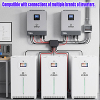Batería Lifepo4 de 16Kw 48V, en Stock en Polonia, Entrega DDP, Paquete de Baterías de 51.2V 314AH 300Ah, 16 KWH, para Almacenamiento de Energía Solar en el Hogar
