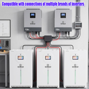 QSO DDP Pologne Stock UE Batterie LiFePO4 16 kW 48 V Pack Akku 51,2 V 314 Ah 300 Ah de 16 kWh Énergie Solaire 16 kWh Stockage d'Énergie Solaire Domestique - Product Image 2