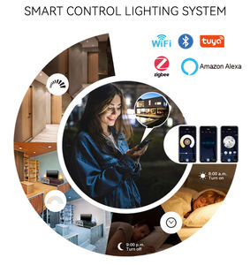 Aluminium <b>LED</b> Track <b>Light</b> Adjustable DC 24C 7W <b>Magnetic</b> Track Spot <b>Light</b> - Product Image 5