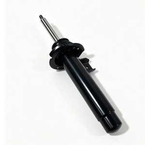 31316873738 Amortiguador Delantero con Núcleo de Gas, Izquierdo o Derecho, para BMW Serie 2 F23 2014-2019 - Product Image 1