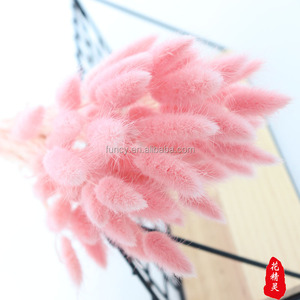 Vente <span class=keywords><strong>en</strong></span> gros de la plante la plus tendance : Uraria Picta Lagurus Ovatus (queue de lapin) séchée naturellement <span class=keywords><strong>pour</strong></span> la remise des diplômes, la fête des pères et la fête des mères - Product Image 4