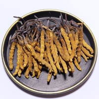Haute Qualité Naturel Tibet Cordyceps sinensis Sauvage Séché Tianshi Cordyceps Militaris Organique Mycélium Cordyceps Champignon