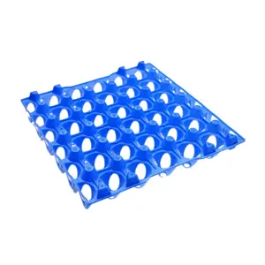 Bandeja para ovos de plástico, mais novo design, bandeja para ovos, incubadora de plástico, reutilizável, embalagem para 30 ovos