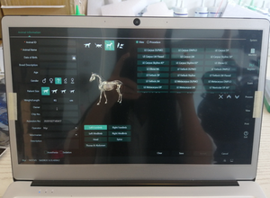 CareView 750Cw Careray marka düz Panel tıbbi 10*12 kablosuz <span class=keywords><strong>x-ray</strong></span> kaset CsI - Product Image 4