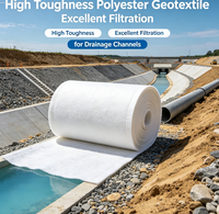 Géotextile haute résistance, excellente filtration pour les canaux de drainage
