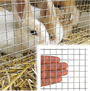 Grillage soudé en acier inoxydable 304 de 1/2 po x 1/2 po, maille de fil soudé pour clôture animale - Product Image 5