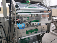 Machine d'emballage automatique de poudre de café instantané 500g 700g, machine d'ensachage de poudre de maïs et de farine de riz pour l'industrie alimentaire