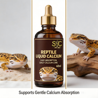 Complément alimentaire liquide pour reptiles OEM ODM, calcium 60 ml, formule gluconate, hautement absorbable, antioxydant, complément nutritionnel pour animaux de compagnie