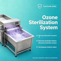 DXC-1000 Wervelstroom groentewasmachine 4KW Industriële fruit-, bladgroente- en wortelgroentewasser voor voedselverwerkingsfabriek