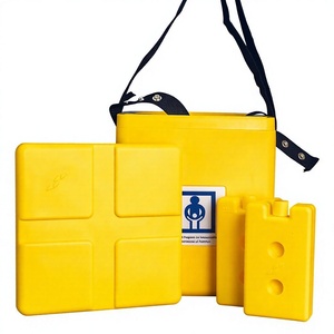 Super International Reusable 2L PP Portable <b>Cooler</b> Backpack Food Grade Thermal Insulated Waterproof Thermoelectric <b>Ice</b> <b>Box</b> - Product Image 1