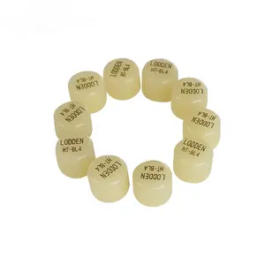 Dental Material Lodden Press Ingots Dental Lithium Disilicate Ceramic Ingots Dental Press Ingots