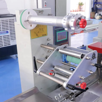 Petite machine d'emballage de bonbons horizontale Emballage d'oreiller en pastille pour boissons et poudres Composants de base d'engrenage