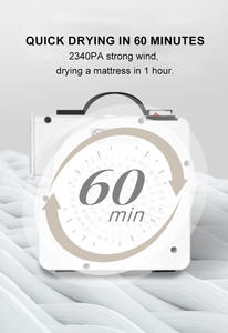 Máquina Limpiadora de Alfombras y Sofás, Extractora de Secado Rápido, Aspiradora de Vapor para Colchones, 110V 230V 220V - Product Image 4