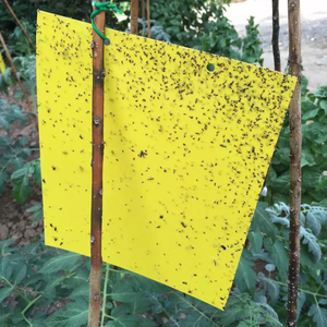 Çift taraflı yapışkan böcek kurulu sarı böcek tuzak kurulu sarı uçan böcek sopa meyve sinek tuzak - Product Image 6