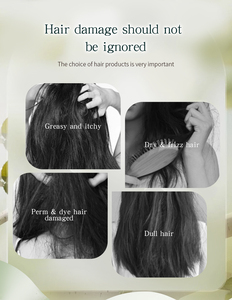 OEM Wholesale Private Label Sulfate Free Vegan Natural Morocco Argan Oil Hair Care <b>Shampoo</b> and Conditioner Set - Product Image 4