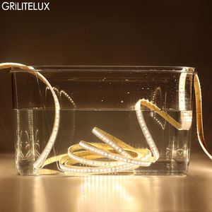 Tira de Luces LED 2835 12V 24V de Alta Calidad IP68, Cinta LED Flexible Impermeable para Exteriores y Subacuática, 120 LED para Iluminación de Piscinas - Product Image 1