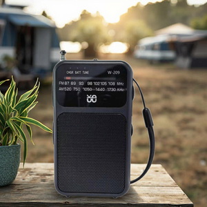 Klasik AM/FM radyo W-209, sabit bir arkadaşı/çift güç modu/topuzu işaretçi ayarlama/özelleştirilebilir logo - Product Image 5