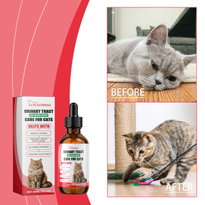 Compléments alimentaires pour animaux de compagnie - Soins pour animaux ayant des problèmes de santé - Compléments nutritionnels pour chats pour une meilleure absorption des nutriments - Product Image 3