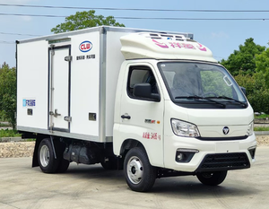 FOTON Mini <span class=keywords><strong>1</strong></span>.1Ton Nouveau Camion Congélateur Réfrigéré Transmission Manuelle Essence Carburant <span class=keywords><strong>pour</strong></span> Nourriture Fruits Poulet - Product Image 5