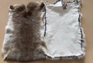 Piel de Conejo <span class=keywords><strong>100%</strong></span> Auténtica, Piel de Conejo en Venta - Product Image 4
