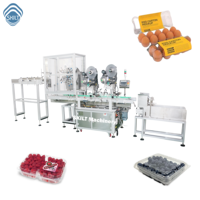 SKILT, fabricant de machines d'étiquetage automatiques pour boîtes à clapet, applicateur d'étiquettes pour surfaces planes, fabricant de machines d'étiquetage d'autocollants depuis 1998