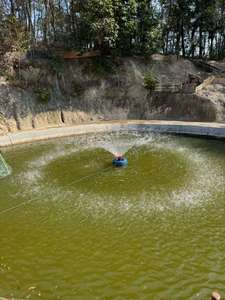 Fuente Flotante y Aireador de Salpicadura con Función de Bomba de Agua para Producir Oxígeno para Estanques y Lagos - Product Image 3