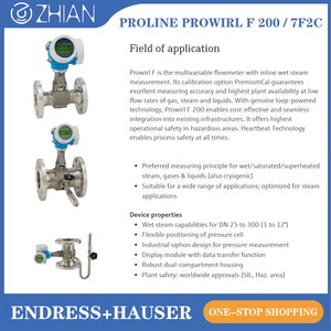เครื่องวัดอัตราการไหลแบบวอร์เท็กซ์ Endress+Hauser รุ่น E+H Proline Prowirl F200/7F2C - Product Image 2