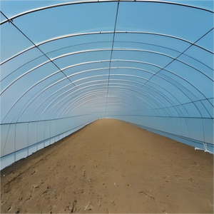 Grande serre commerciale à portée unique, alimentée à l'énergie solaire, avec récolte automatisée, couverture en film PE transparent et structure stable pour les légumes-feuilles - Product Image 4