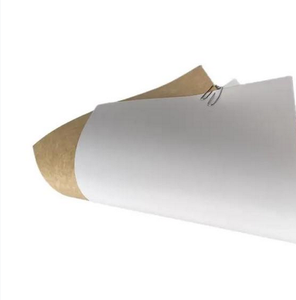 กระดาษคราฟท์เคลือบเกรดอาหาร JINQIAO <span class=keywords><strong>Hi</strong></span>-<span class=keywords><strong>Q</strong></span> เป็นมิตรต่อสิ่งแวดล้อม 250GSM/300GSM/350GSM ป้องกันการซึมผ่านสูง สำหรับบรรจุภัณฑ์<span class=keywords><strong>นม</strong></span>และอาหาร - Product Image 4