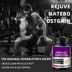 OEM Energy Dietary Supplement <span class=keywords><strong>Herbal</strong></span> <span class=keywords><strong>Extract</strong></span> 500mg <span class=keywords><strong>Tribulus</strong></span> <span class=keywords><strong>Terrestris</strong></span> Pó Cápsulas Com Raiz de Maca para o Poder do Homem - Product Image 5