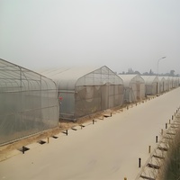 Serre agricole simple travée en acier galvanisé avec système hydroponique et couverture en PE pour tomates