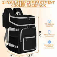 Sac à dos isotherme 40 canettes, pliable, imperméable, en polyester, pour hommes et femmes, pique-nique, plage, voyage, camping