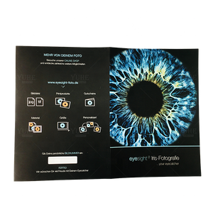 Bìa Đựng Hồ Sơ Nhà Cung Cấp Trung Quốc Giá Thấp Bìa Đựng Tài Liệu Khổ A4 In Logo Tùy Chỉnh - Product Image 5