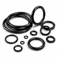 Maßgefertigte O-Ringe aus NBR, FKM, Silikon, EPDM Gummi-Dichtungsringe Hochtemperatur- und Ölbeständig OEM-Größen